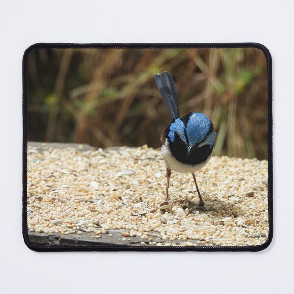 Item preview, Superb Fairywren in Norton Summit 2 designed and sold by Claire L Page Photography.