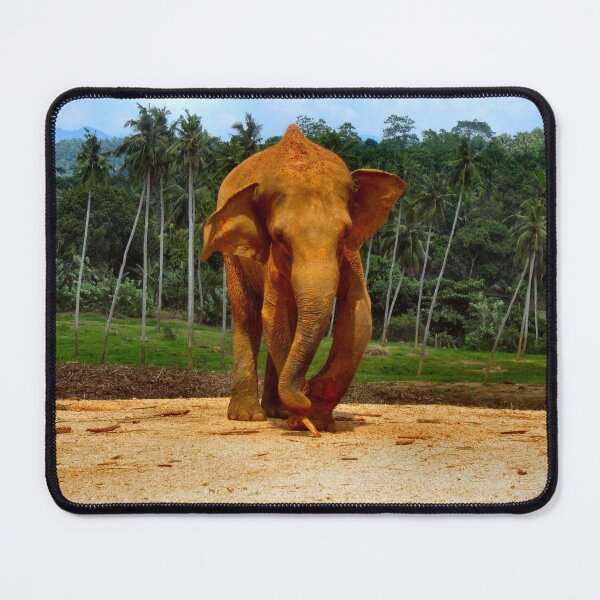 Item preview, MAKE WAY. designed and sold by ronsaunders47.