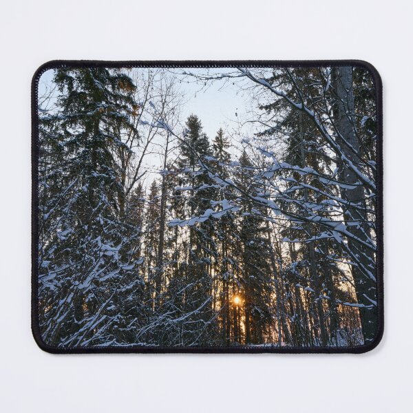 Item preview, The path. Last morning of 2023  number 20 designed and sold by Jouko Lehto Photography.