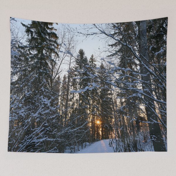 Item preview, The path. Last morning of 2023  number 20 designed and sold by Jouko Lehto Photography.