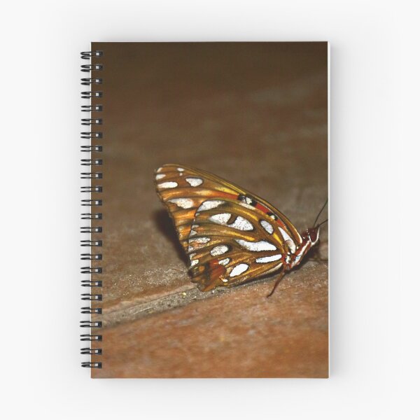 Item preview, Gulf Fritilarry Butterfly designed and sold by MercerImages.