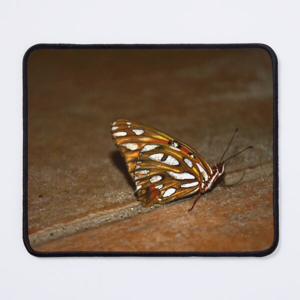 Item preview, Gulf Fritilarry Butterfly designed and sold by MercerImages.