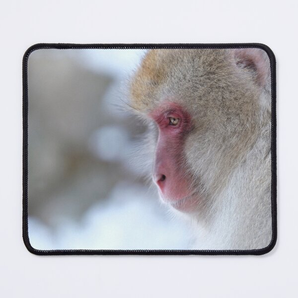 Item preview, Snow monkey in Nagano prefecture, Japan designed and sold by Lensw0rld.