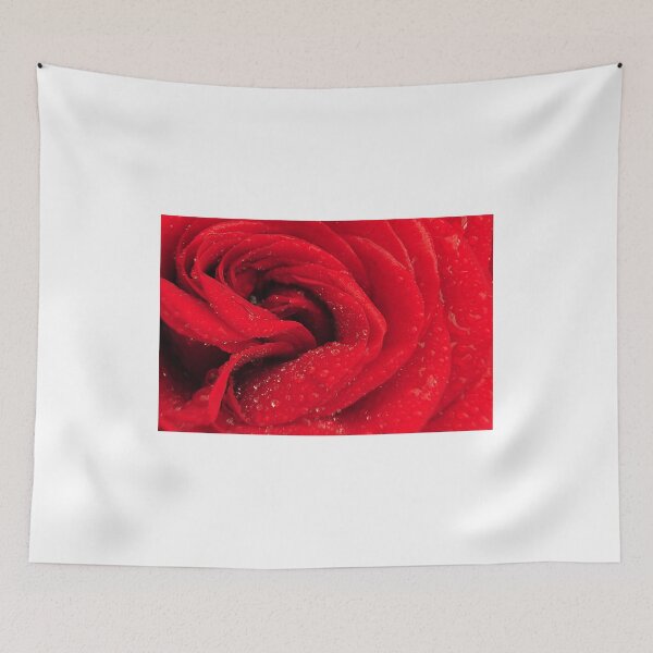 Item preview, Red rose close up 221 designed and sold by PHILIP CHALK.