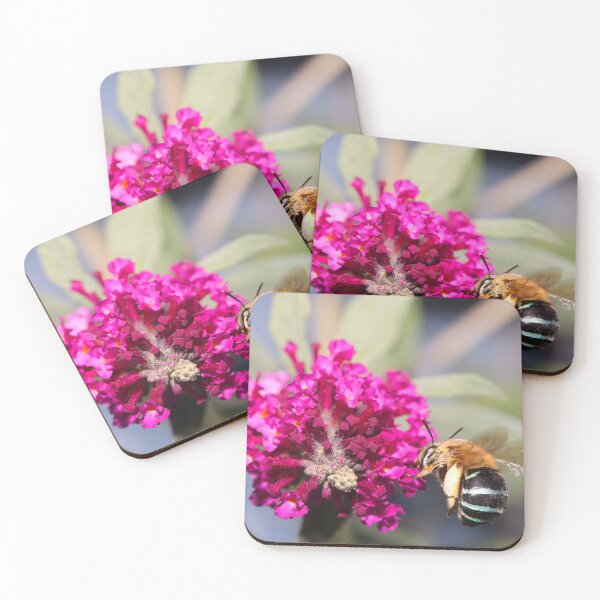 Item preview, Blue Banded Bumblebee designed and sold by Carole Pallier.