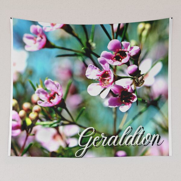 Item preview, Pink Flowers of an Australian Geraldton cultivar, CWA pink Western Australia designed and sold by CyberArtistOne.