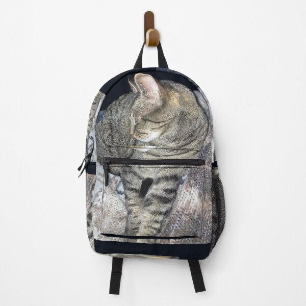 Item preview, Comfy Cat designed and sold by Amanda1775.