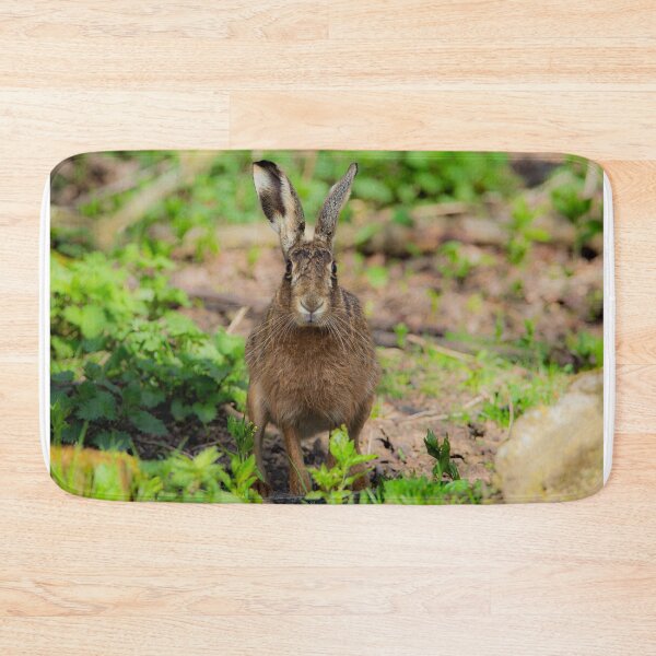 Item preview, Brown Hare designed and sold by MTPhotos1406.
