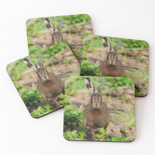 Item preview, Brown Hare designed and sold by MTPhotos1406.