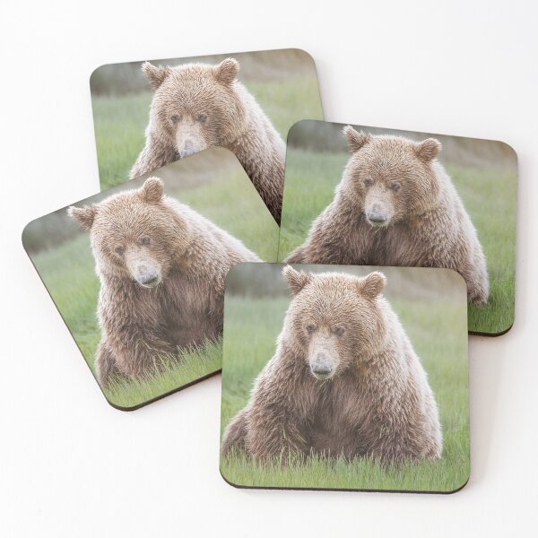 Item preview, Looks Like A Big Stuffed Bear designed and sold by PhotoArt by Joan Carroll.
