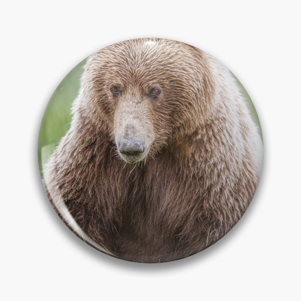 Item preview, Looks Like A Big Stuffed Bear designed and sold by PhotoArt by Joan Carroll.