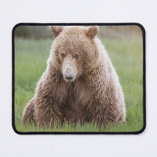 Item preview, Looks Like A Big Stuffed Bear designed and sold by PhotoArt by Joan Carroll.