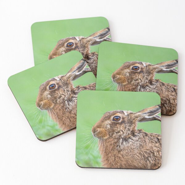 Item preview, Brown Hare designed and sold by MTPhotos1406.