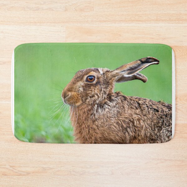 Item preview, Brown Hare designed and sold by MTPhotos1406.