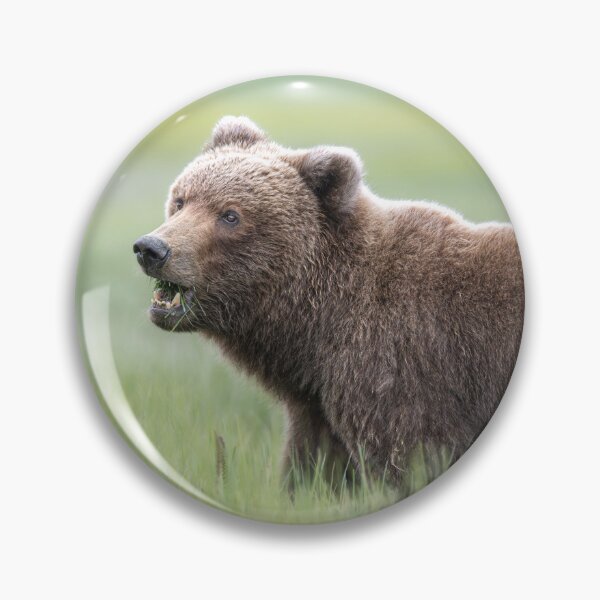 Item preview, Brown Bear in the Sedge Grass Meadow Alaska designed and sold by PhotoArt by Joan Carroll.
