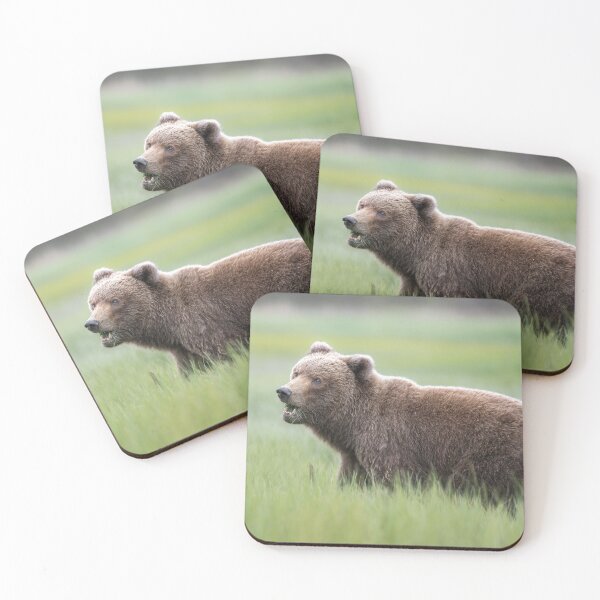 Item preview, Brown Bear in the Sedge Grass Meadow Alaska designed and sold by PhotoArt by Joan Carroll.