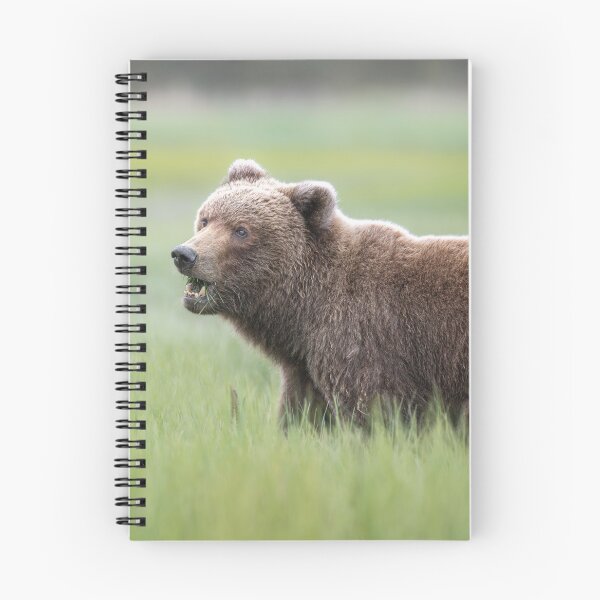 Item preview, Brown Bear in the Sedge Grass Meadow Alaska designed and sold by PhotoArt by Joan Carroll.