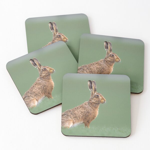 Item preview, Brown Hare designed and sold by MTPhotos1406.