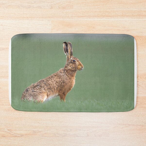 Item preview, Brown Hare designed and sold by MTPhotos1406.