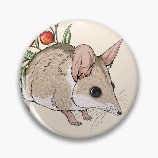 Item preview, Australian Dunnart and Quandong Fruit designed and sold by Mousewren.