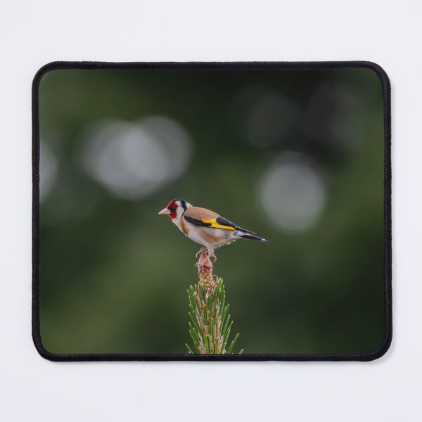 Item preview, Gold Finch designed and sold by MTPhotos1406.