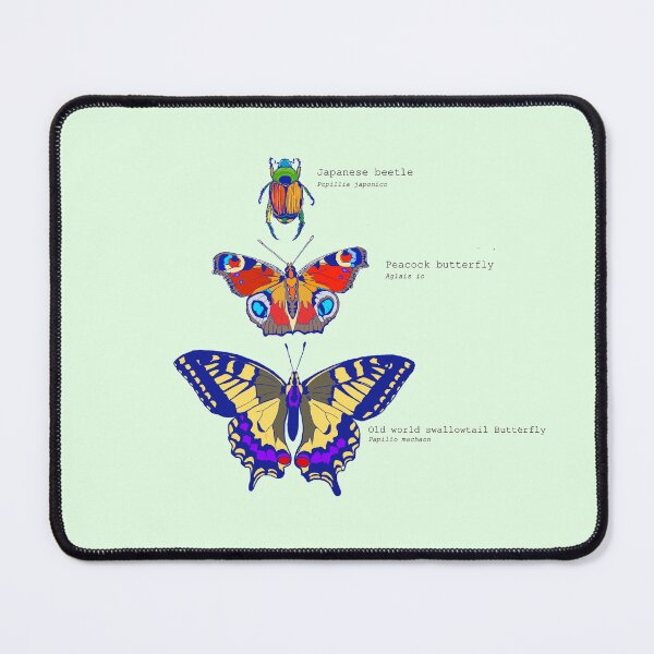 Item preview, Beetle and Butterfly stack designed and sold by Tati Varv.
