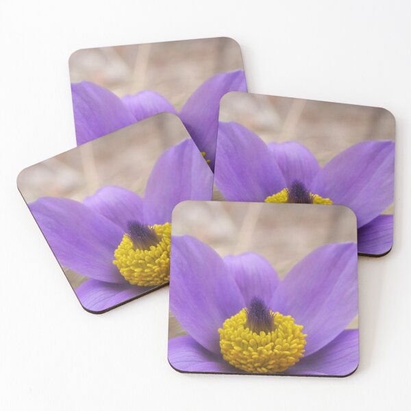 Item preview, Anemone macro photography designed and sold by Juviraga.