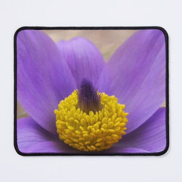 Item preview, Anemone macro photography designed and sold by Juviraga.
