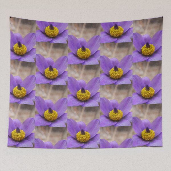 Item preview, Anemone macro photography designed and sold by Juviraga.