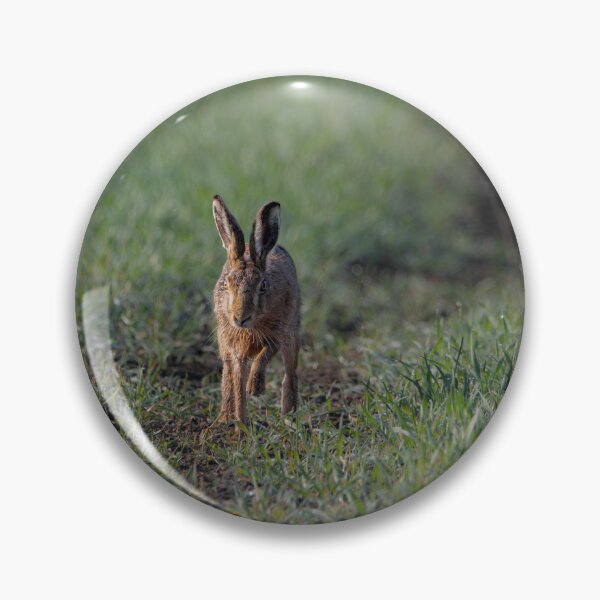 Item preview, Brown Hare designed and sold by MTPhotos1406.