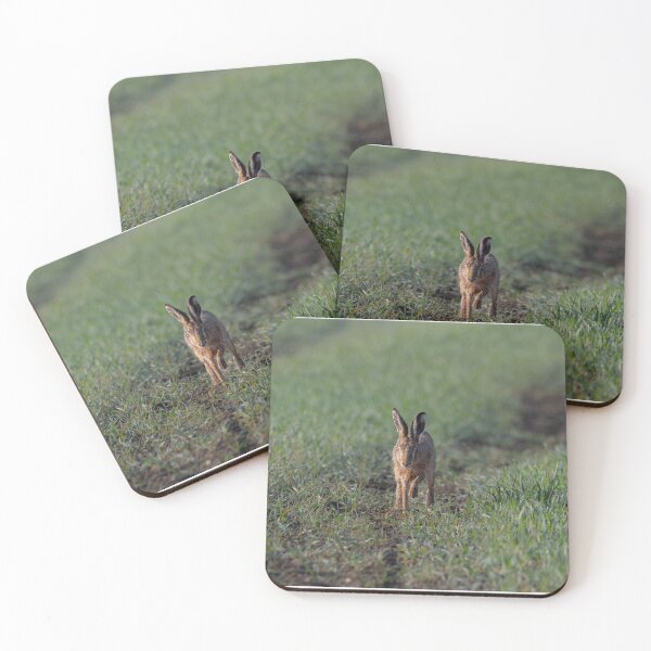 Item preview, Brown Hare designed and sold by MTPhotos1406.