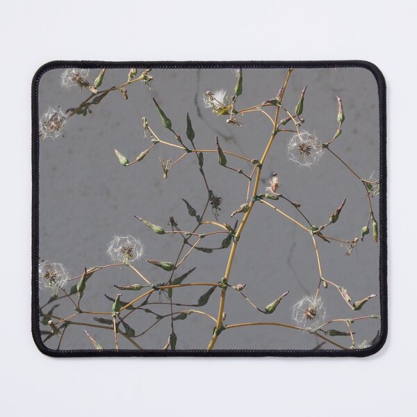 Item preview, Simple plant designed and sold by Juviraga.