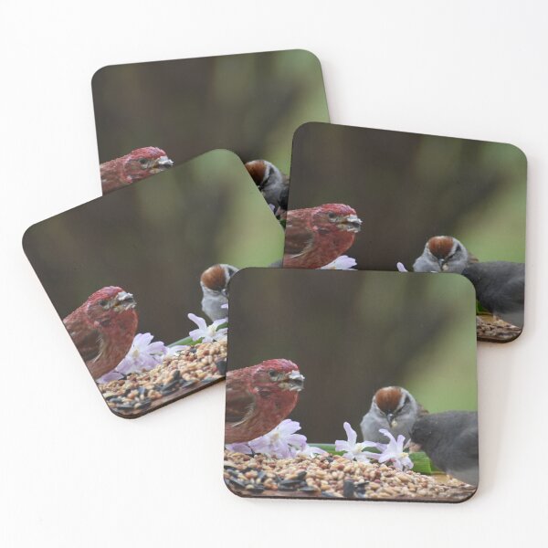 Item preview, Birds at the garden feeder designed and sold by Claude Laprise.