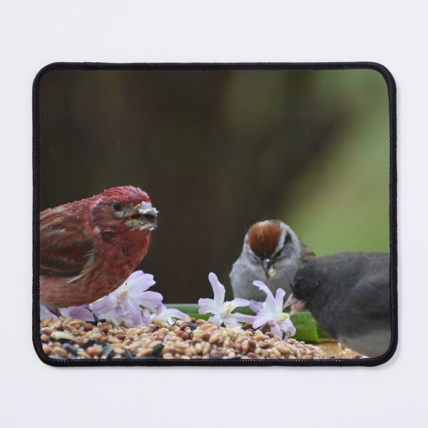 Item preview, Birds at the garden feeder designed and sold by Claude Laprise.