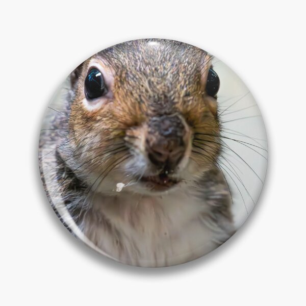 Item preview, Squirrel designed and sold by MTPhotos1406.