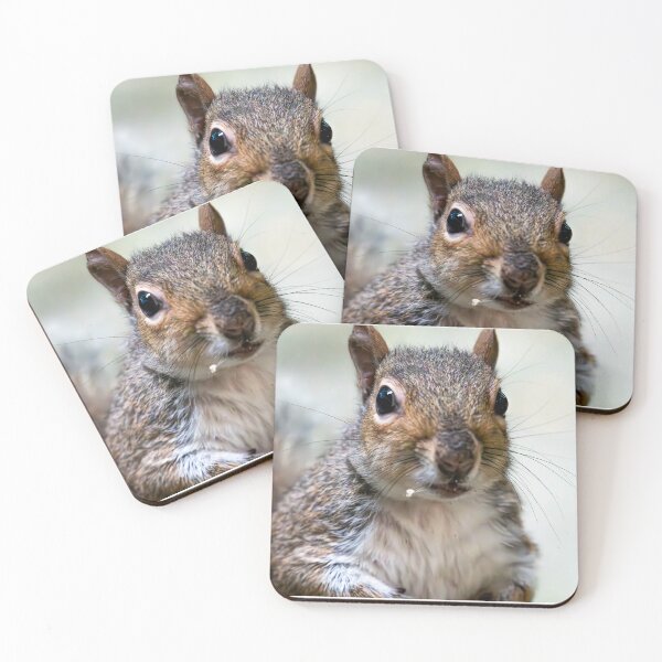 Item preview, Squirrel designed and sold by MTPhotos1406.