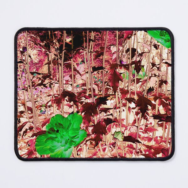 Item preview, walk in the magical woods designed and sold by Gabriel BOCQUAIRE.