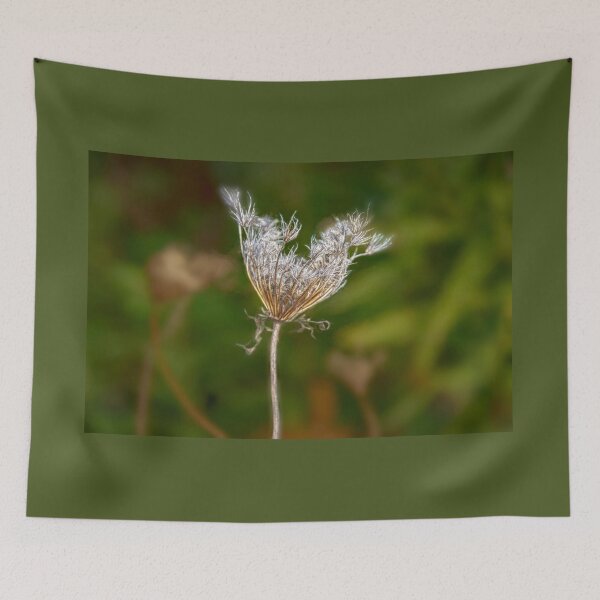 Item preview, Withering Queen Annes Lace designed and sold by Debra Martz.