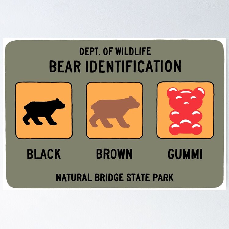 Bear Identification Black, Brown, Gummi Sticker