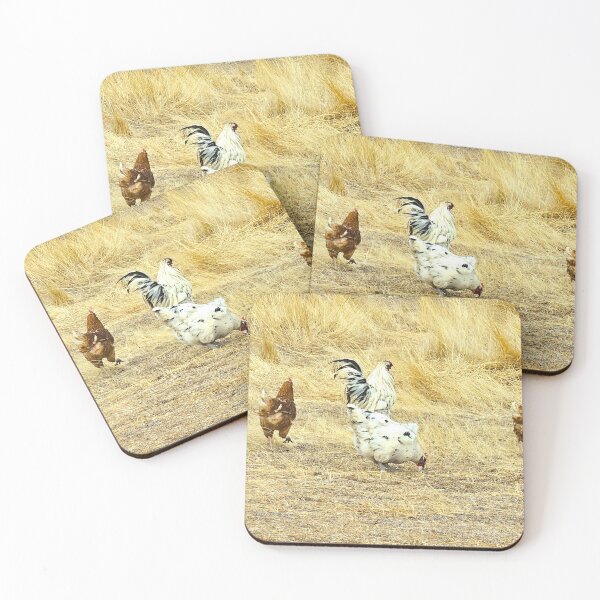 Item preview, Chooks designed and sold by carole hirst.