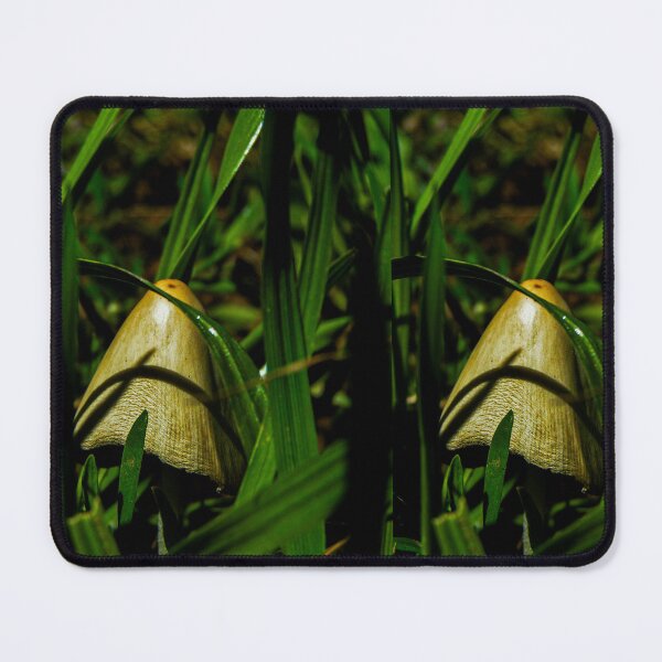 Item preview, Micro Mushroom  designed and sold by C-T-Creations.
