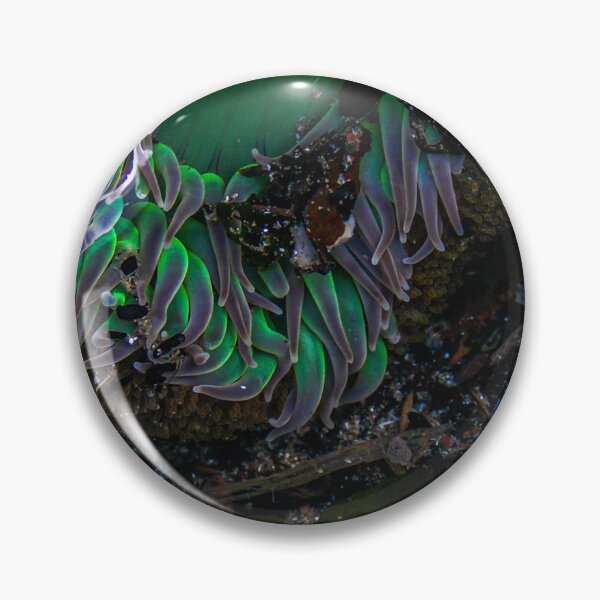 Item preview, Sea Enemy designed and sold by C-T-Creations.