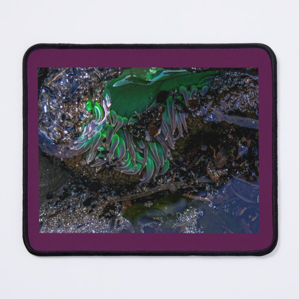 Item preview, Sea Enemy designed and sold by C-T-Creations.
