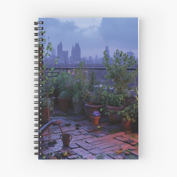 Item preview, Rooftop Garden In Twilight - Series Number Two designed and sold by delohill.