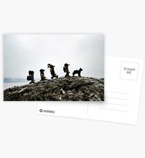 Camping on the Coast Postcards