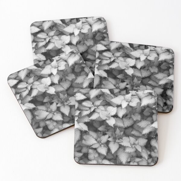 Item preview, 2011 Giardino della natura designed and sold by robertoferrero.