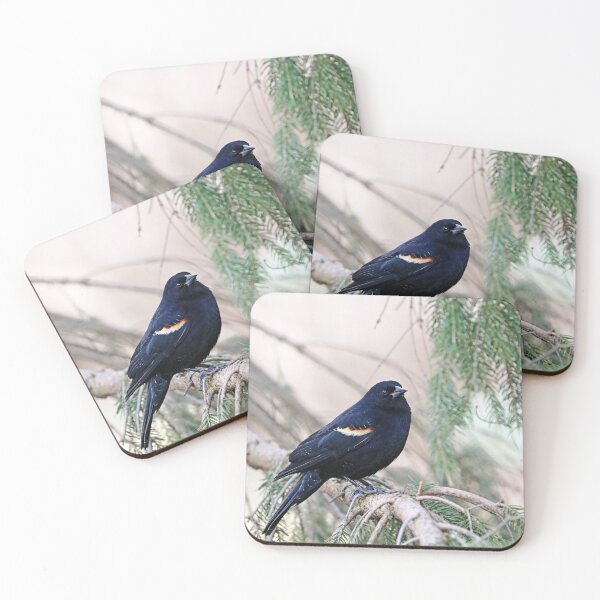 Item preview, Red Winged Blackbird In The Spruce designed and sold by Deb Oppermann.