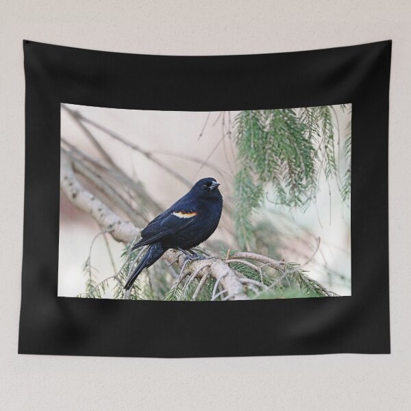 Item preview, Red Winged Blackbird In The Spruce designed and sold by Deb Oppermann.