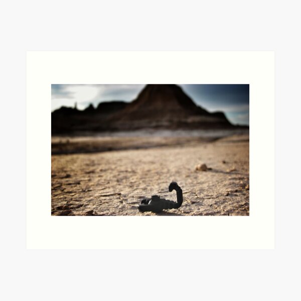 Scorpions everywhere. Art Print