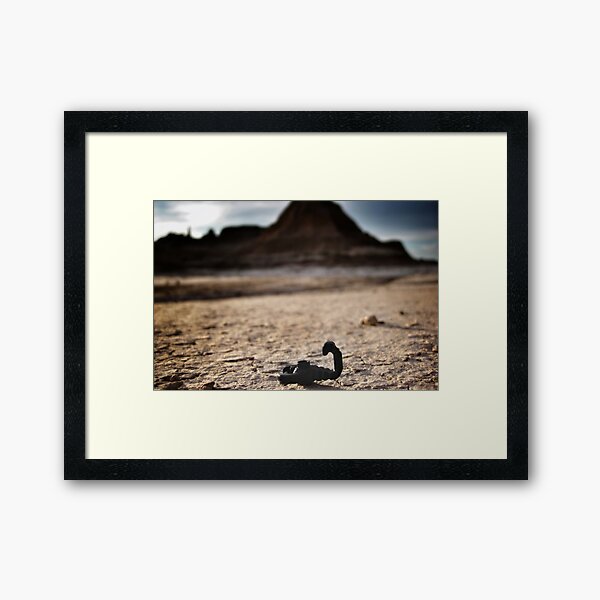 Scorpions everywhere. Framed Art Print